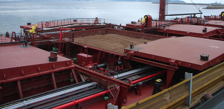 Pioneer Cement
