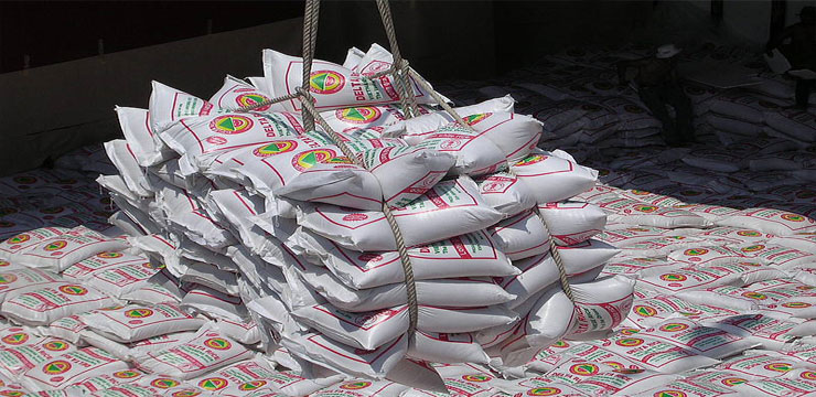 Pioneer Cement